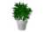 m_plant01