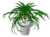 m_plant06
